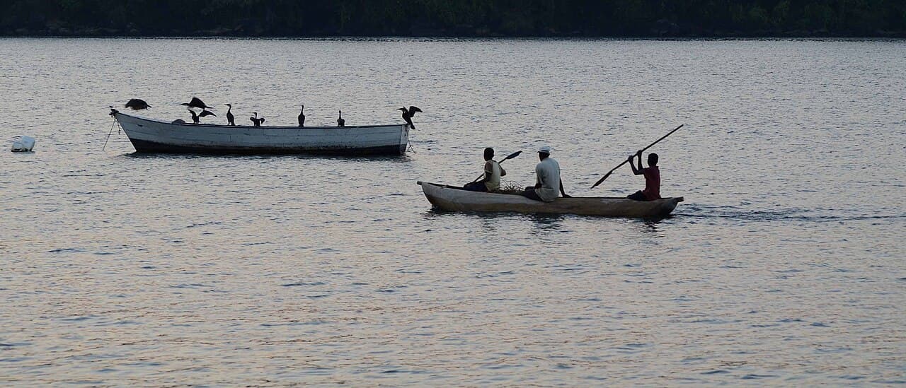 Fiskere med trebåter ved bredden av Malawisjøen