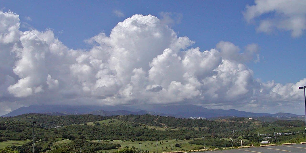 Regnskogen i El Yunque
