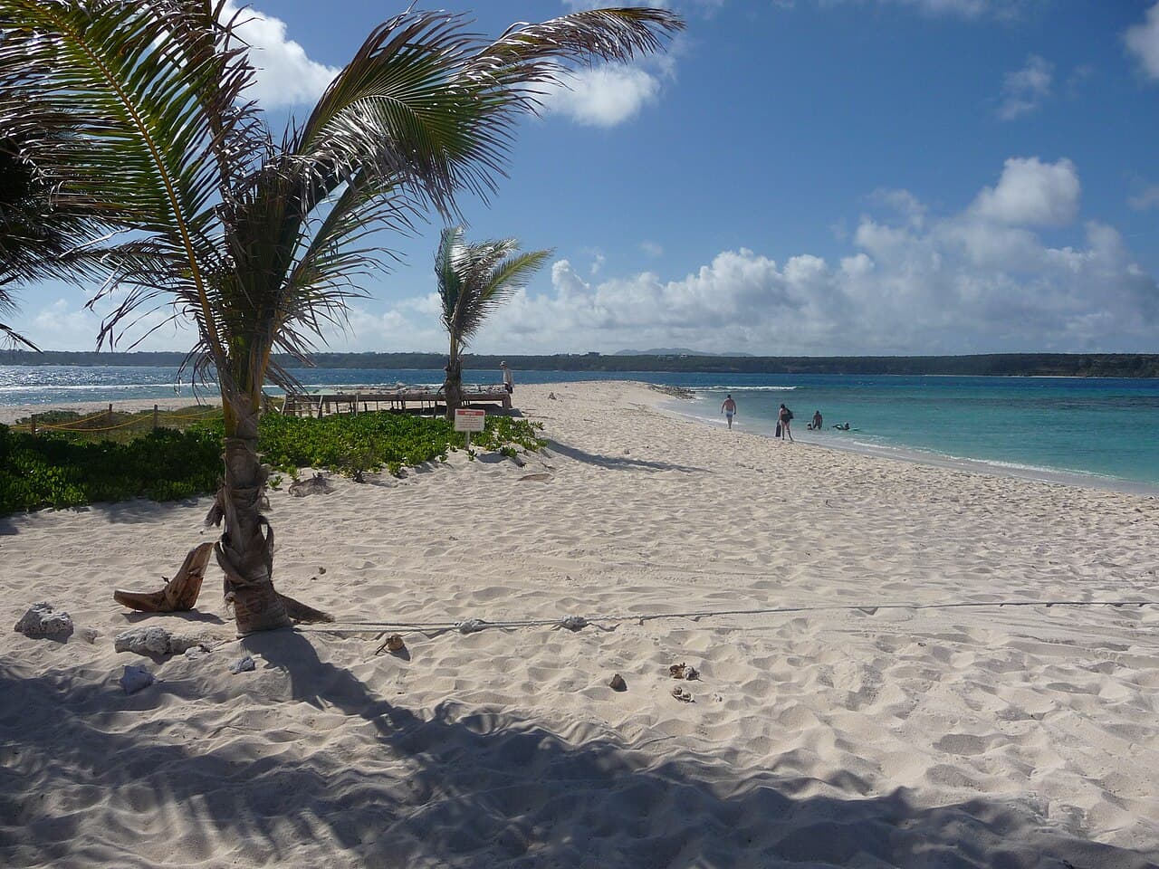 Den lille sandholmen Sandy Island med palmer
