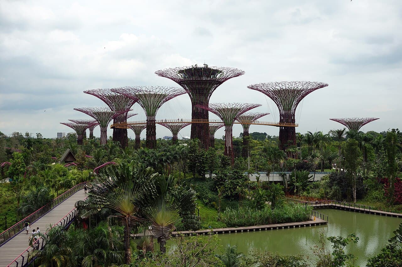 Supertree Grove i Gardens by the Bay