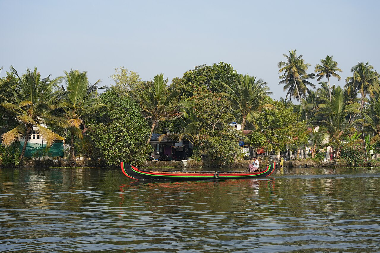 Kanaler og palmer i backwaters i Kerala