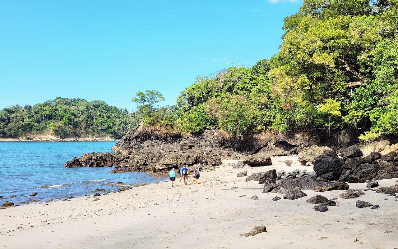 Strand og regnskog i Manuel Antonio nasjonalpark