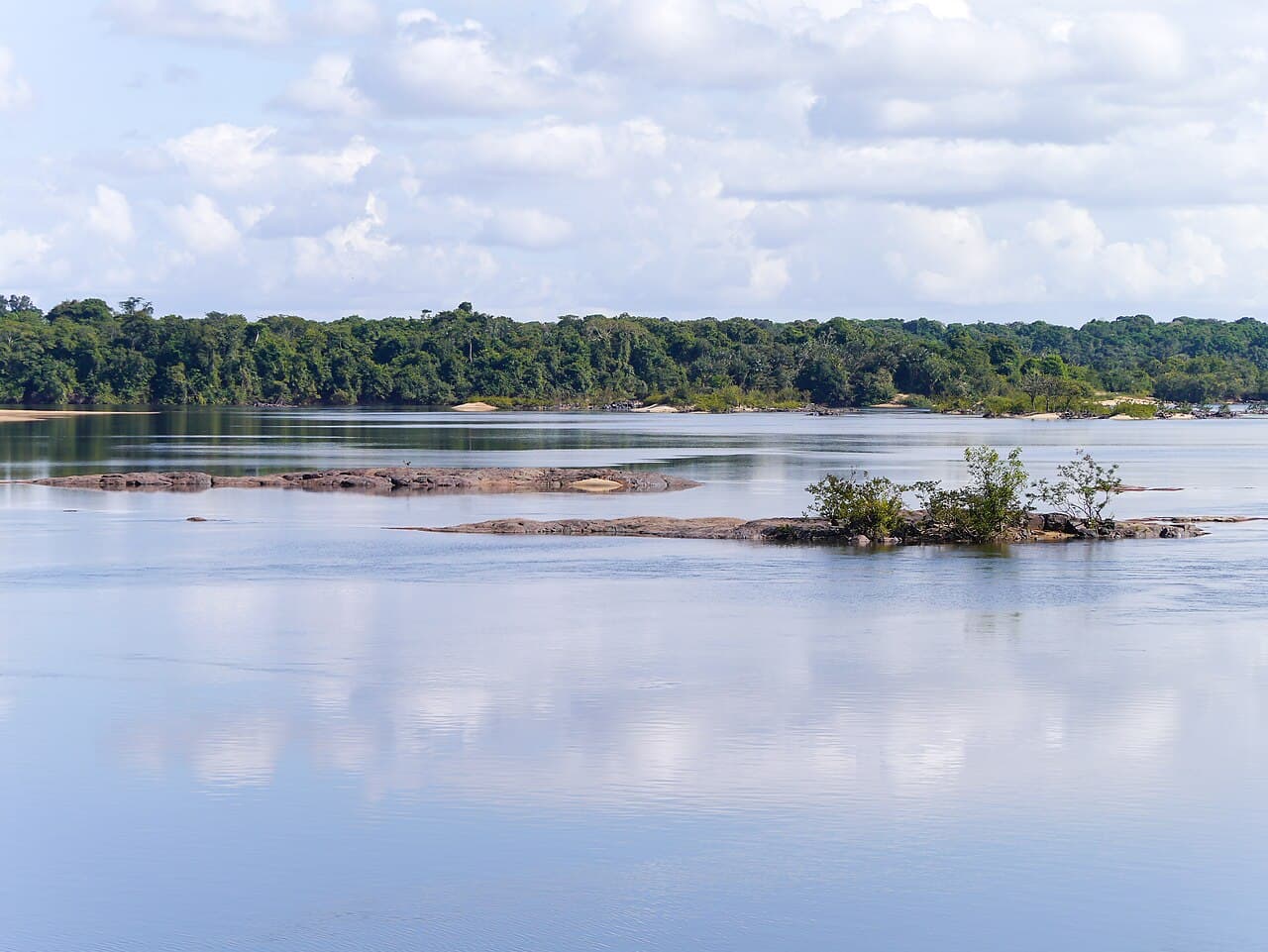 Regnskogen i Iwokrama