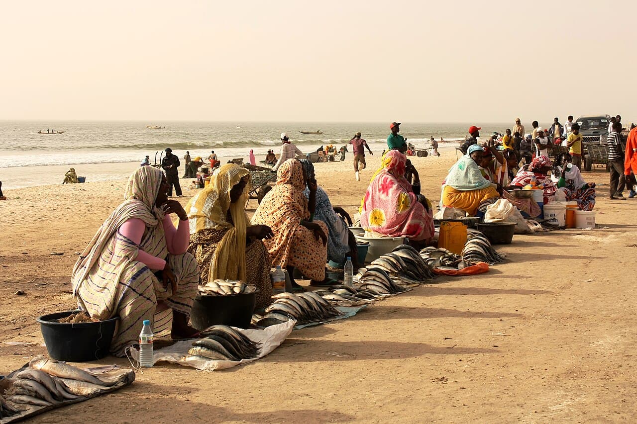 Travelt fiskemarked på stranda i Nouakchott