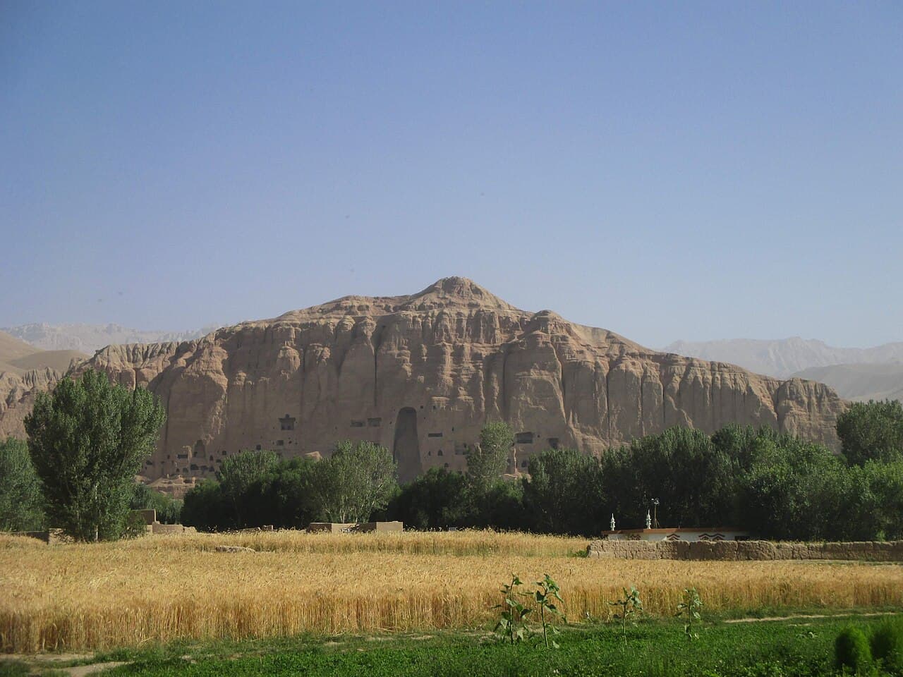 Grønn dal med åkerlapper og fjell i Bamiyan