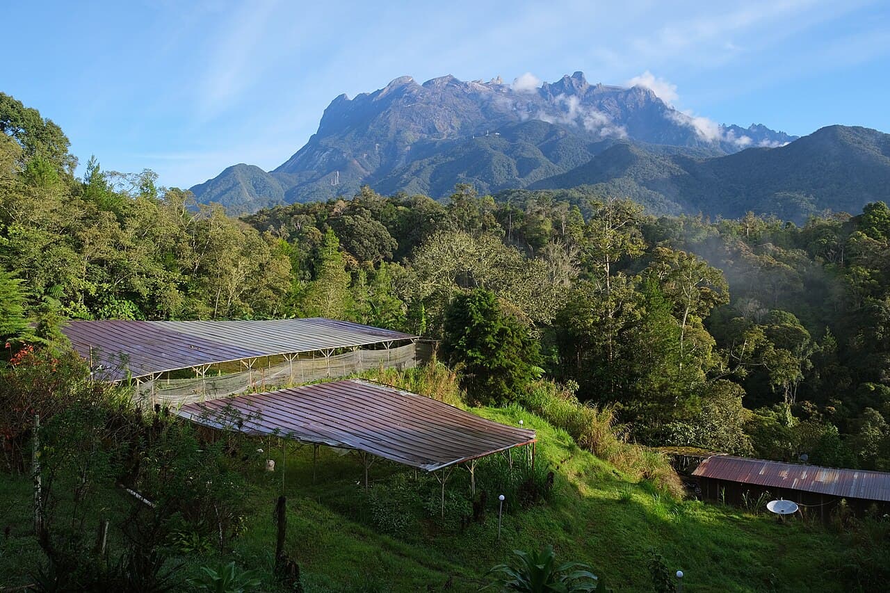 Det takkede Mount Kinabalu reiser seg over grønne åser på Borneo