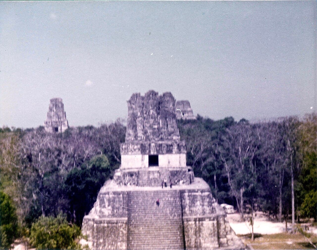 Mayapyramidene i Tikal over trekronene