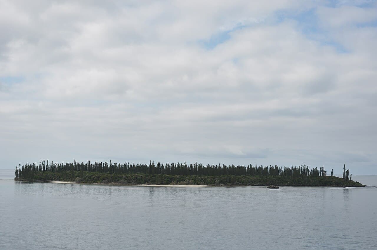 Araukariatrær langs stranden på Isle of Pines