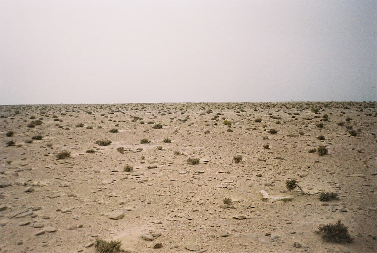 Åpent, steinete ørkenlandskap i Vest-Sahara