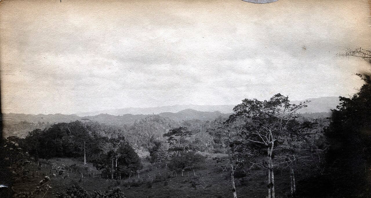 De blå fjellene på Jamaica i dis