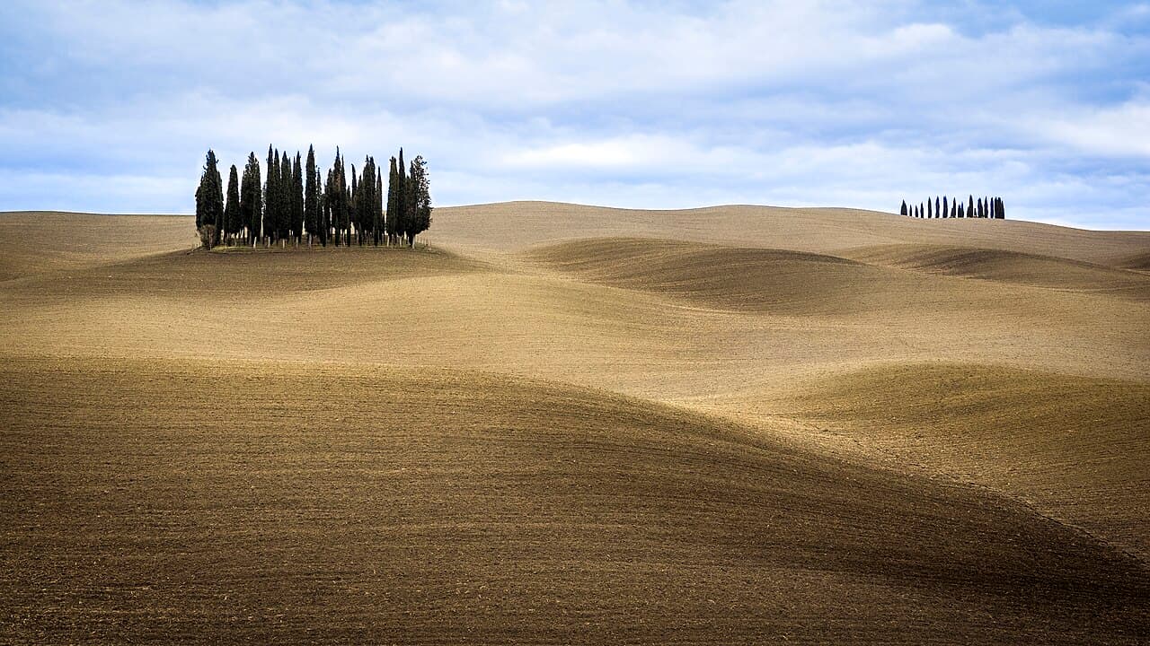 Sypresser på en ås i det bølgende landskapet i Val d'Orcia