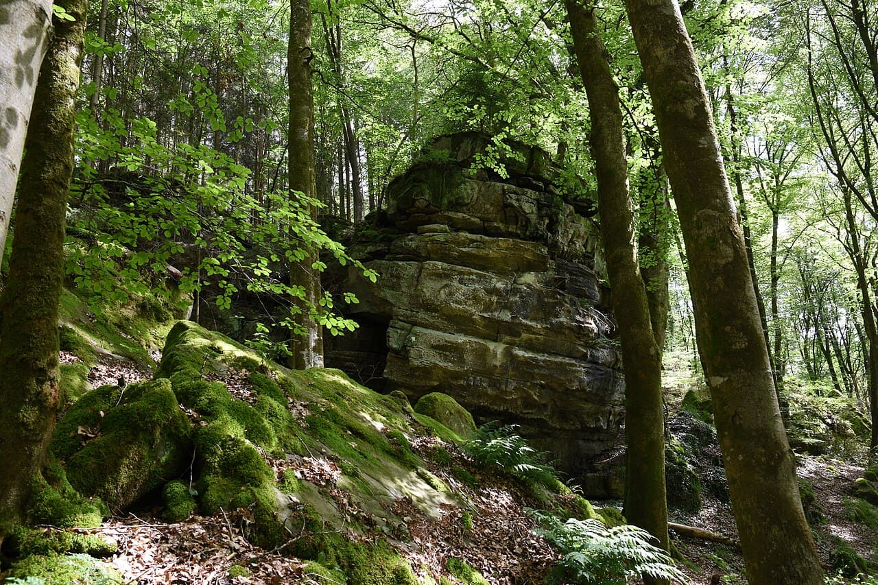 Mosegrodde sandsteinsformasjoner i skogen i Mullerthal