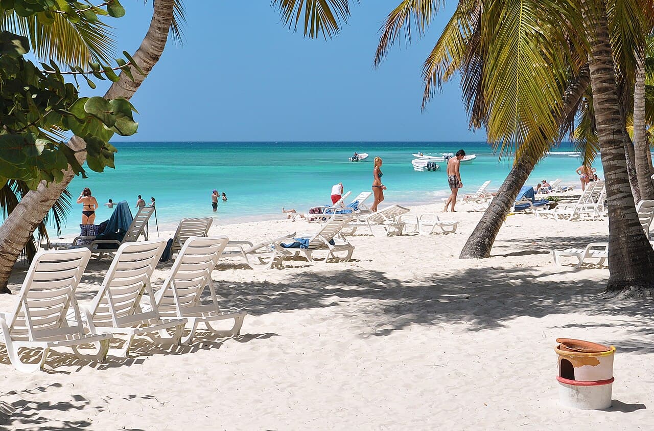 Palmer og hvit sand på Isla Saona