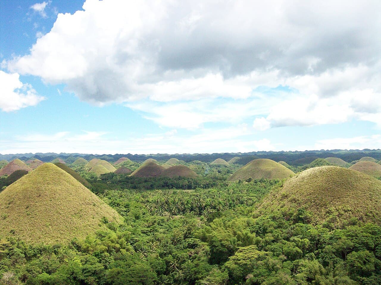 Hundrevis av kjegleformede grønne åser på Bohol