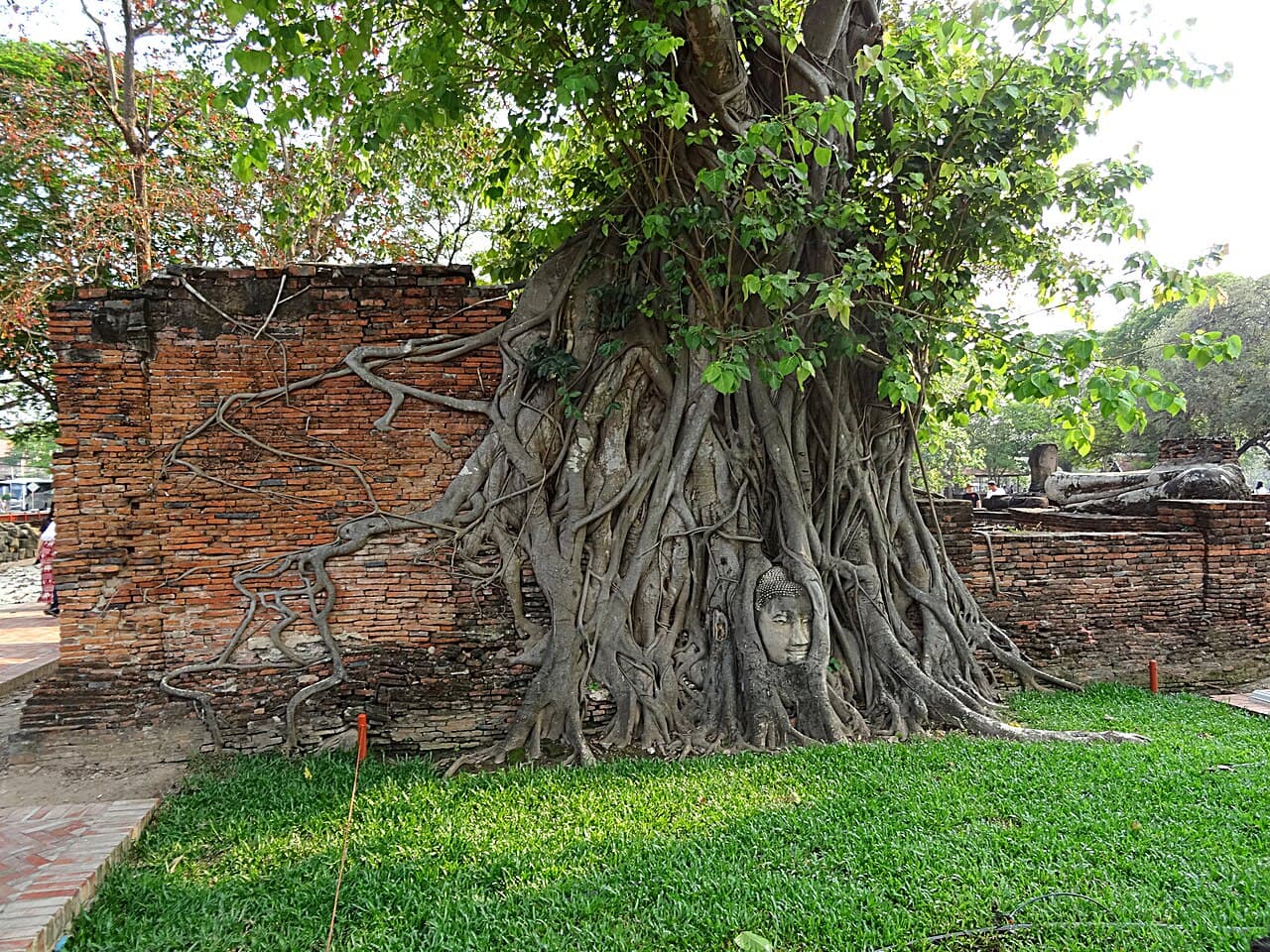 Tempelruiner av rød murstein med en sittende buddhastatue i Wat Mahathat, Ayutthaya