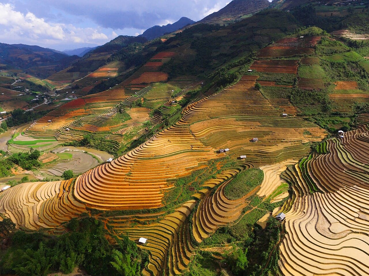 Terrasserte rismarker i grønne trapper nedover fjellsiden i Mu Cang Chai