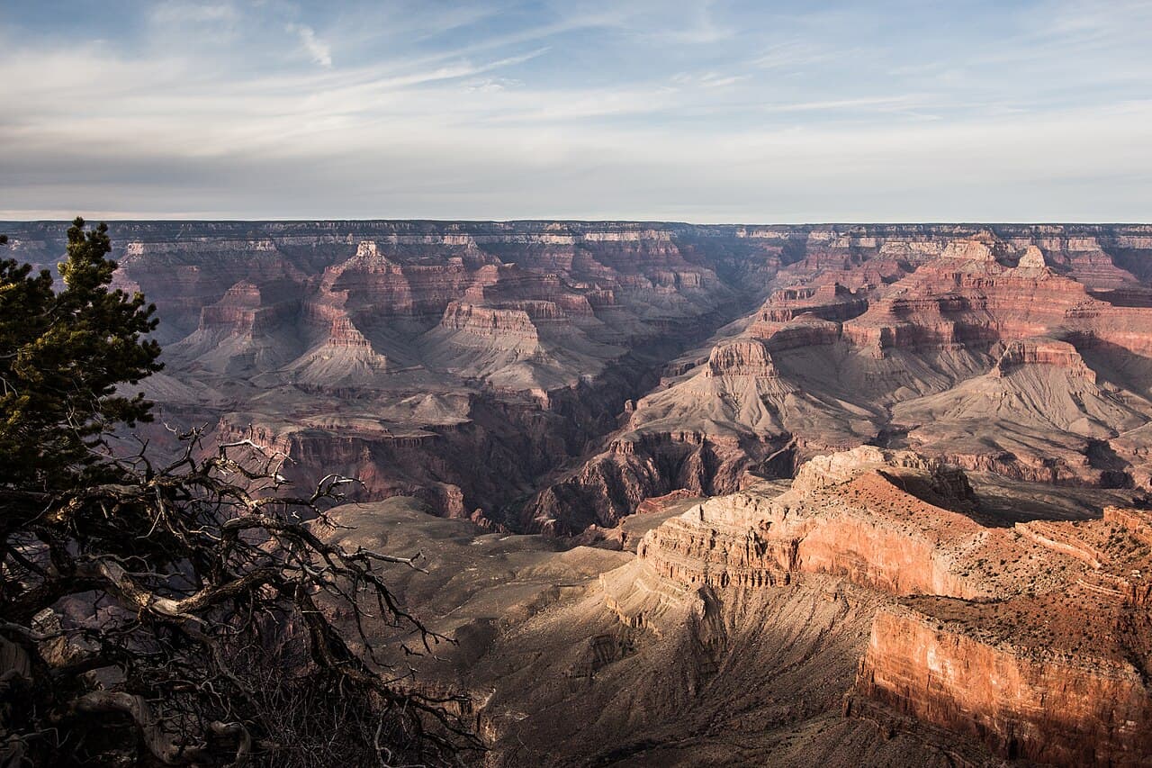 Grand Canyon med lagdelte klippevegger