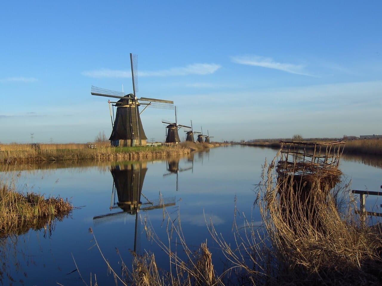 Rekken av vindmøller ved Kinderdijk